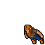 Dwarf